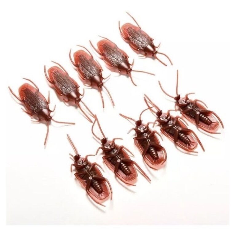 10 Barata de Brinquedo Mentira Realista Simulaçã