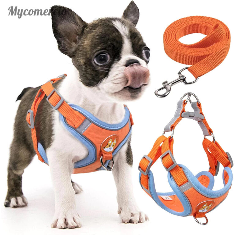 Coleira Peitoral coleira para cachorro com guia pa