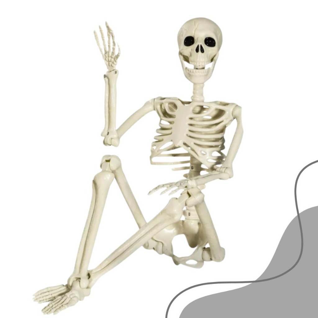 Caveira Decoração Porta e Outros Halloween e Anatomia Com Ossos Articulados Festas e Cosplay