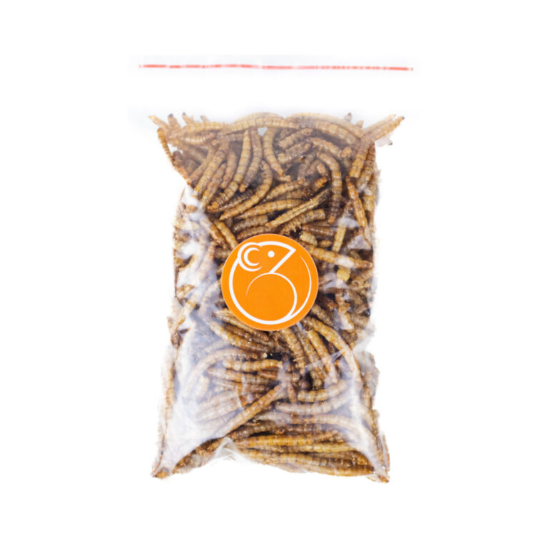 Larva de Tenebio Desidratado para Hamster Rato twi