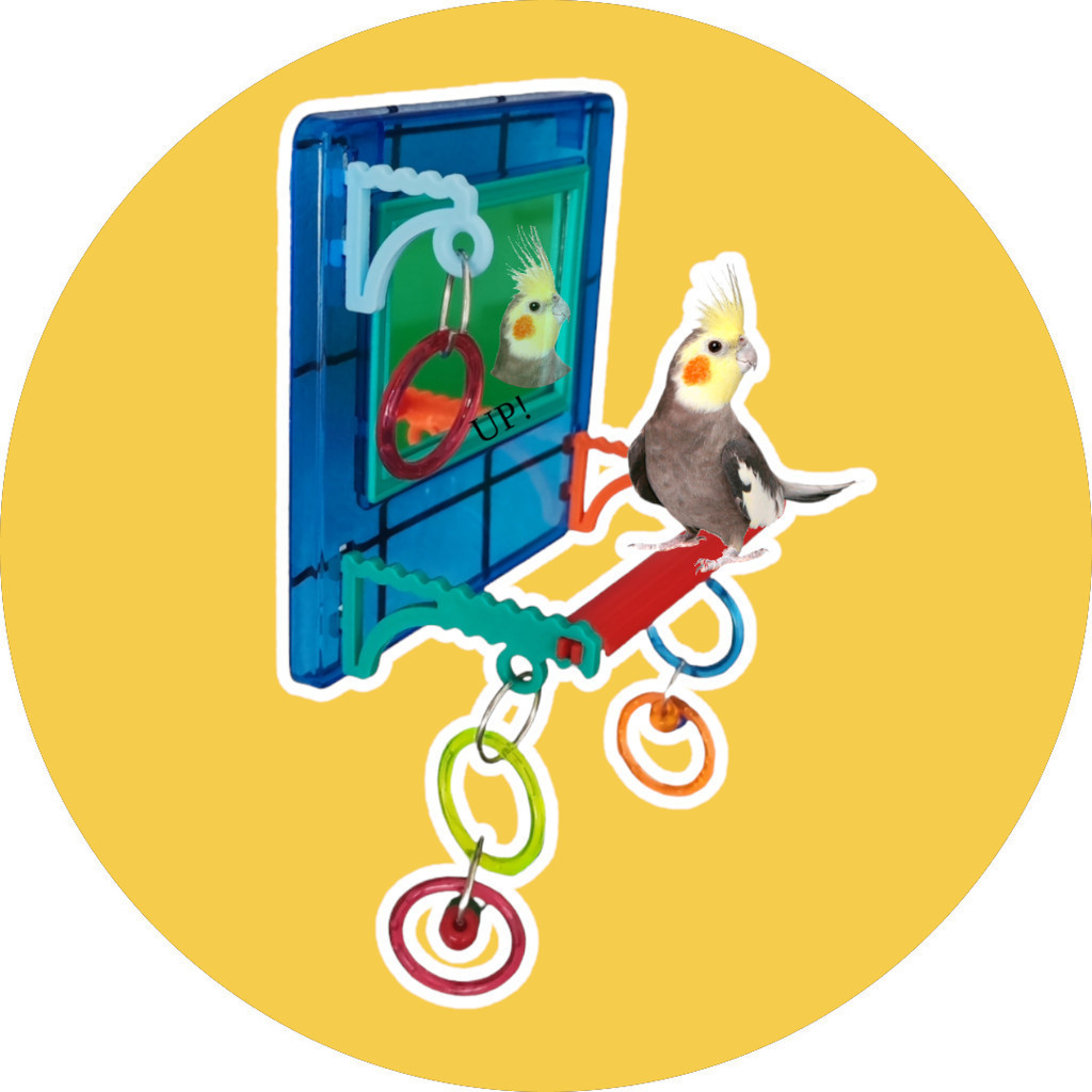 Brinquedo Multiplay Diversao C/ Poleiro e Espelho Calopsita e Aves diversas