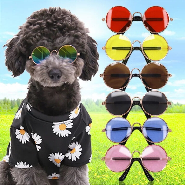 Óculos de sol pet redondo para gato e cachorro co