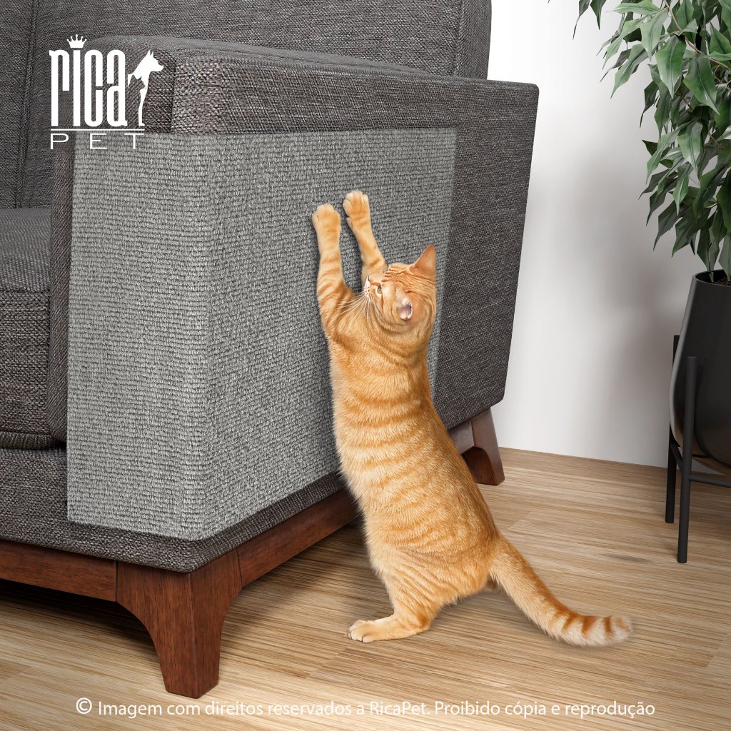 Arranhador E Protetor De Sofá Adesivo Para Gatos Carpete