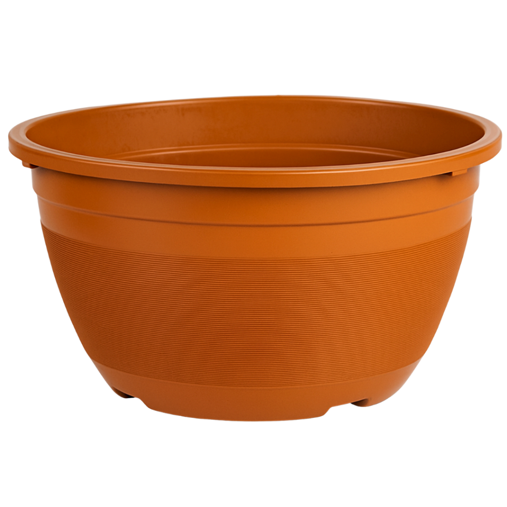 Kit 6 Vasos G Plantas Cactos Suculentas Rosa Deserto Flores Jardim Resistentes Conjunto Plastico