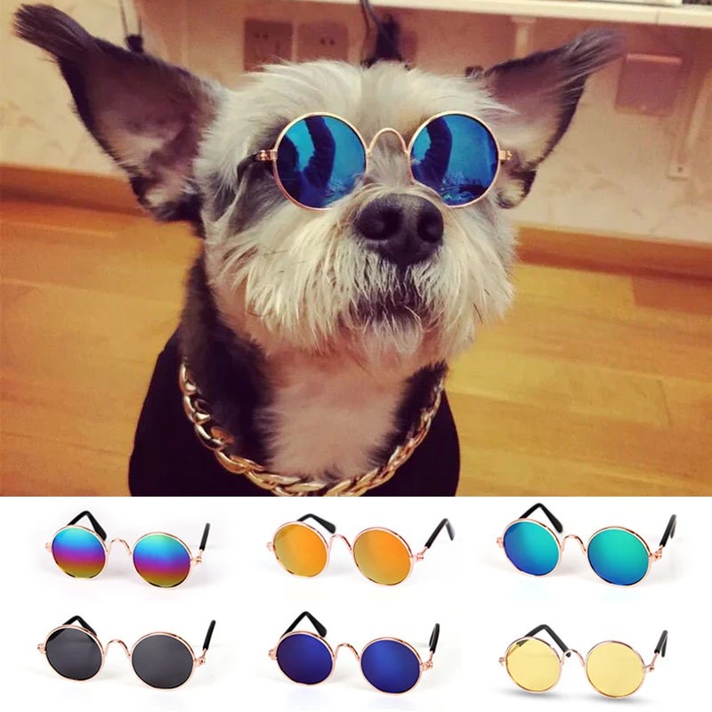 Produtos Para Animais De Estimação Adorável Rodada Do Vintage Óculos De Sol Gato Reflexão Olho Wear