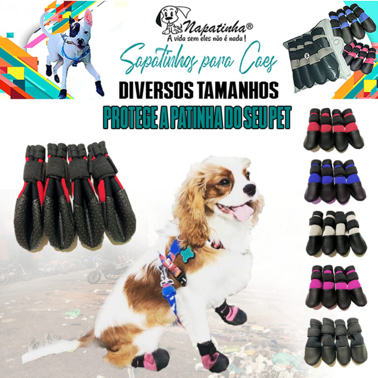 Sapatinho para cachorro diversos tamanhos- Botinha