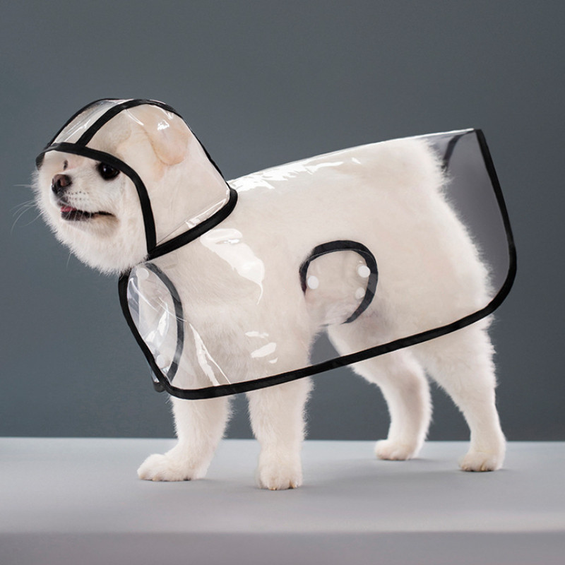 Capa De Chuva Transparente À Prova Dágua Para Cachorro Com Capuz Gato Shih Tzu