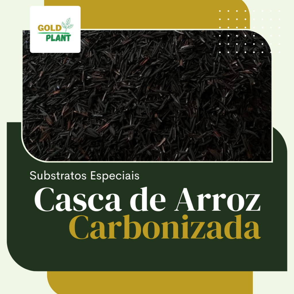 Casca Palha de Arroz Carbonizada Substrato Orgânico Plantas Jardim 1,5l, 3l, 10l ou 20l Gold Plant