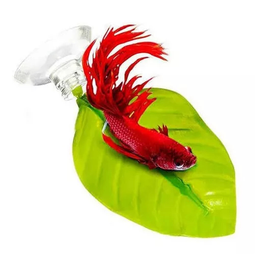 Folha de Descanso para Peixe Betta  Antiestresse, 