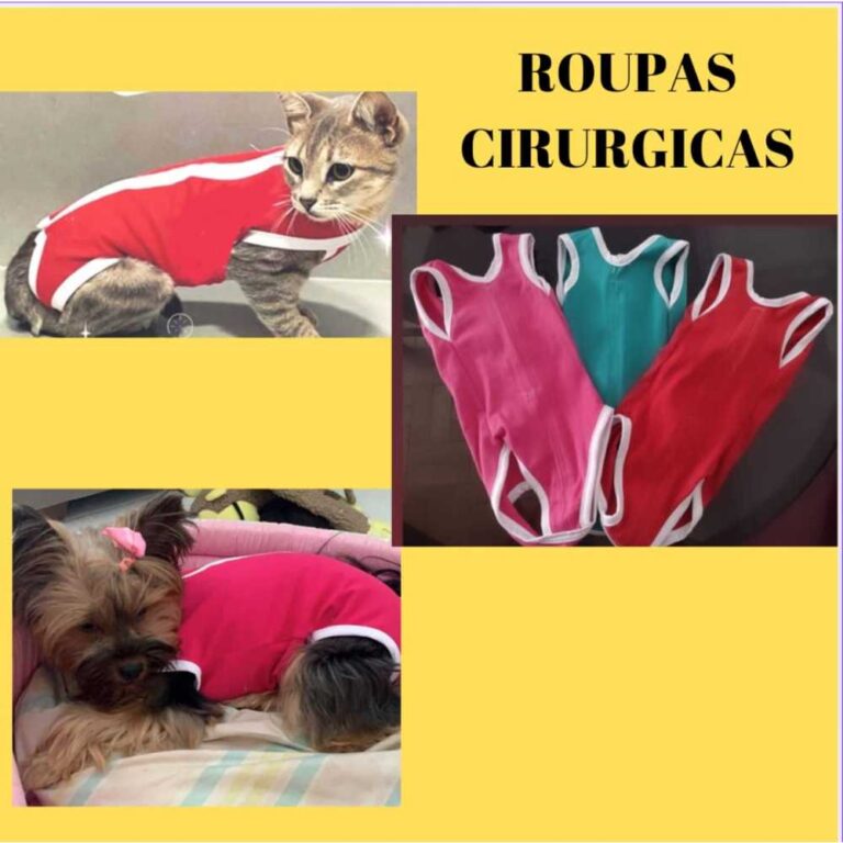 Roupa Pós-cirúrgica Gatos e Cão,  Gatos e cacho