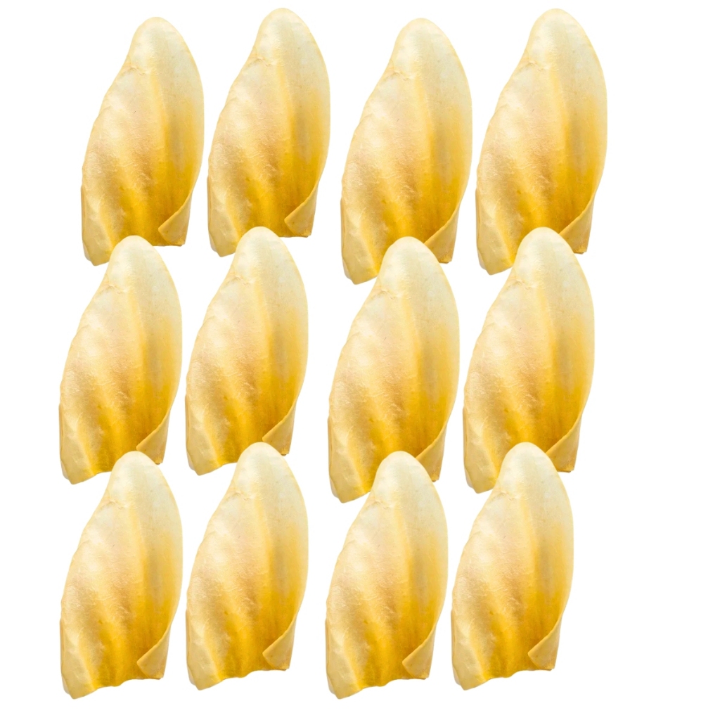 Kit 12 Petisco Natural Orelha Bovina Desidratada Para Cachorro Dip Dog