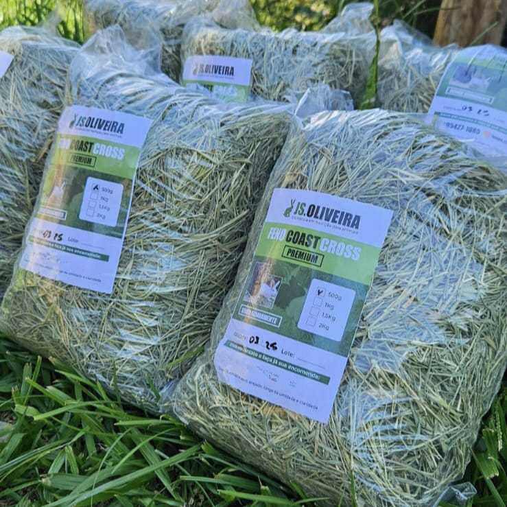 Feno Tifton Premium para coelho,porquinho da india