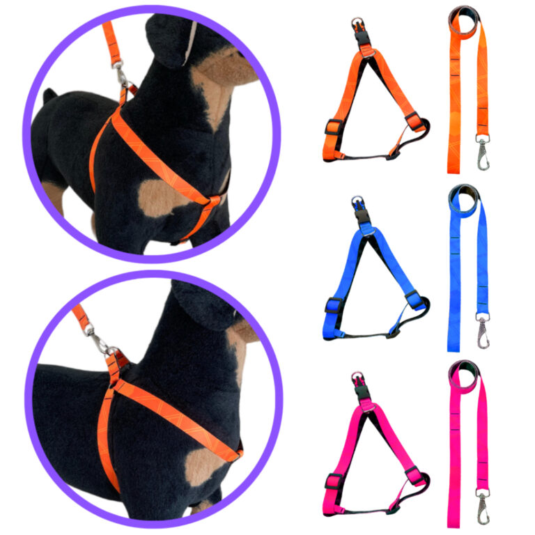 Coleira peitoral com guia para cães com regulagem