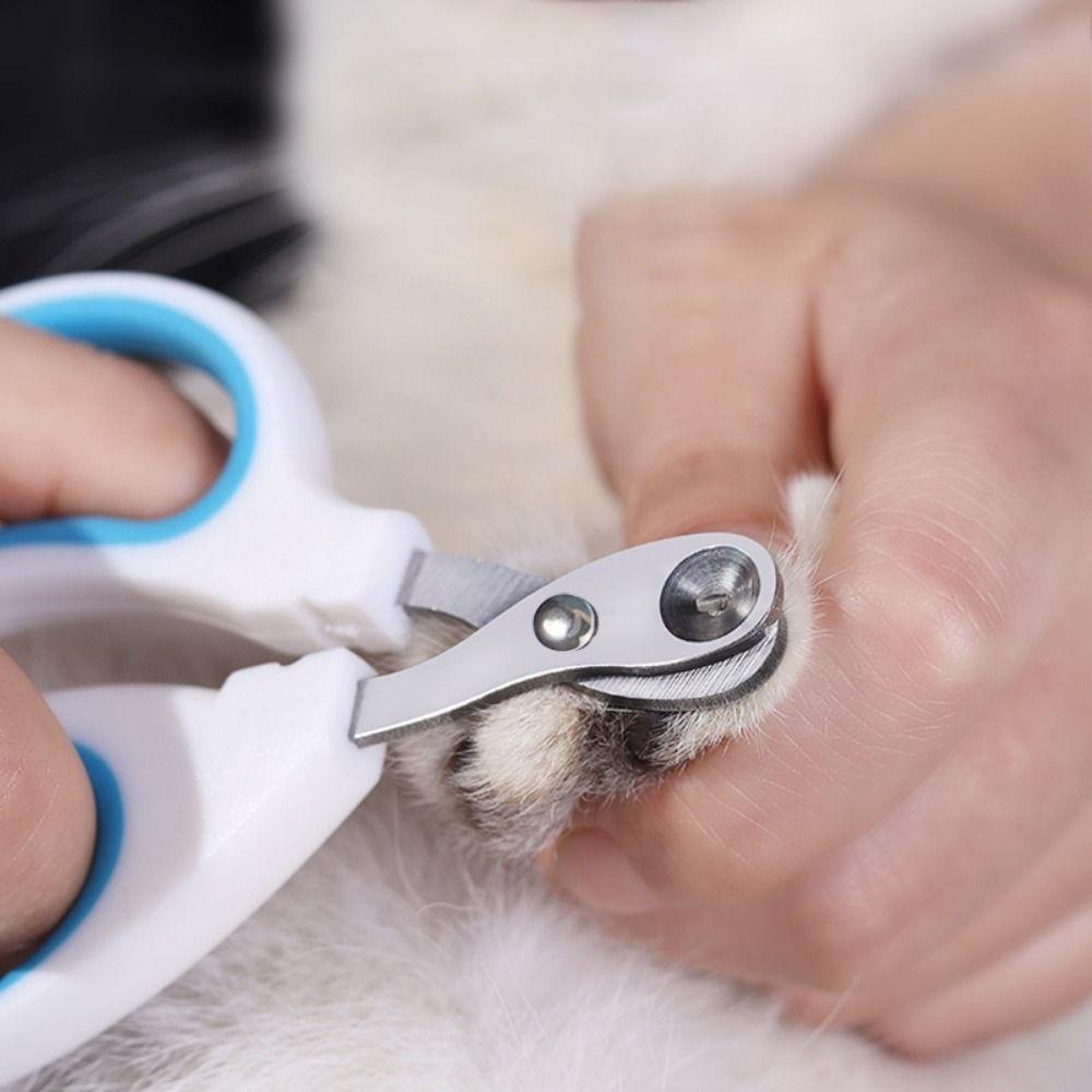 Cortador De Unhas Alicate Com Furo Para Gato Corte Preciso Evita Sangramento Aço Inoxidável Tesoura