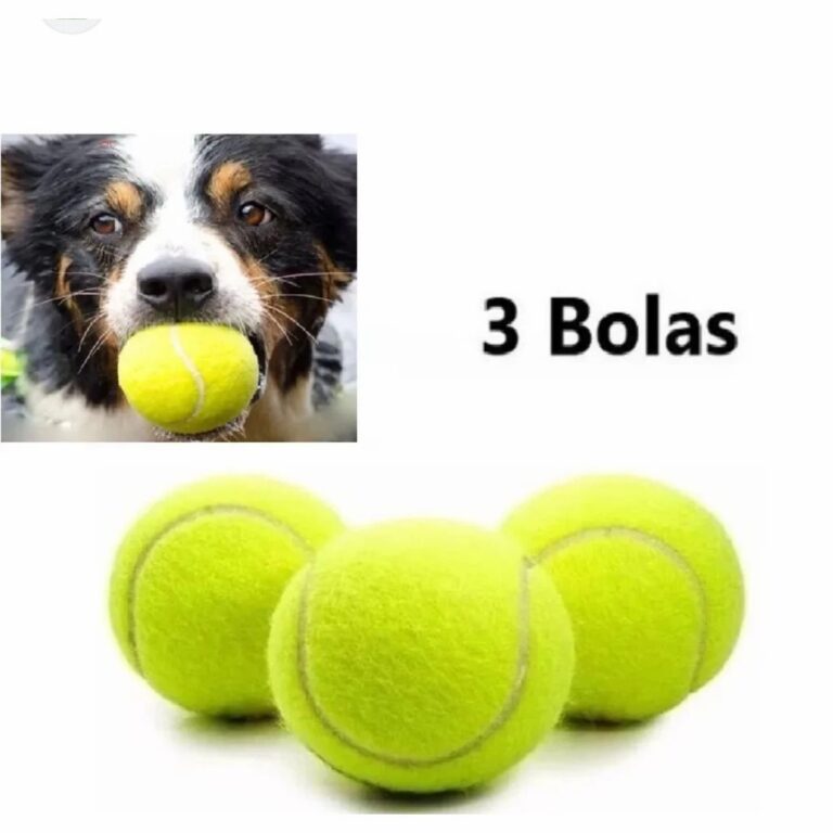 Kit 3 Bola de Tênis Para Pet Treinamento de Alta 