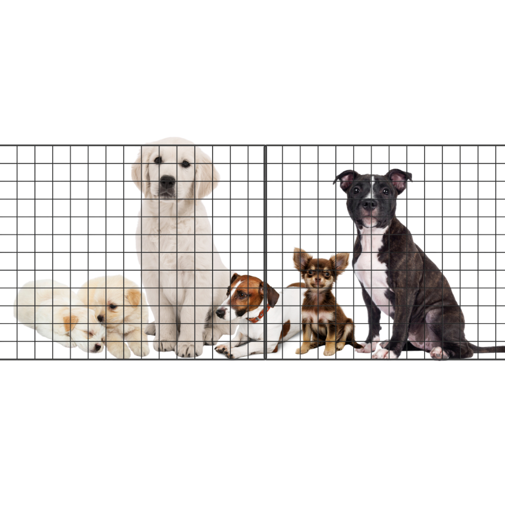 Tela Pet de Metal 60×1,00m Proteção e Segurança Limitador para Cachorro Até 4 Módulos