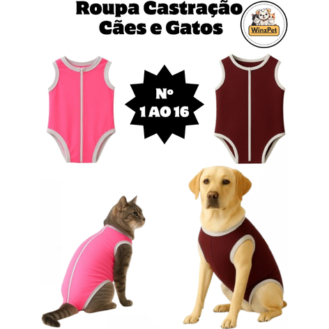 Roupa Pós Cirúrgica Pet Cachorro e Gato Body Rec