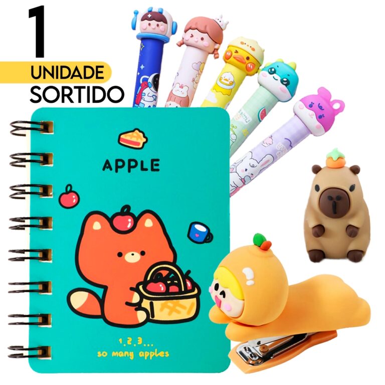 Material Escolar Unidade Sortida Aleatória Cadern