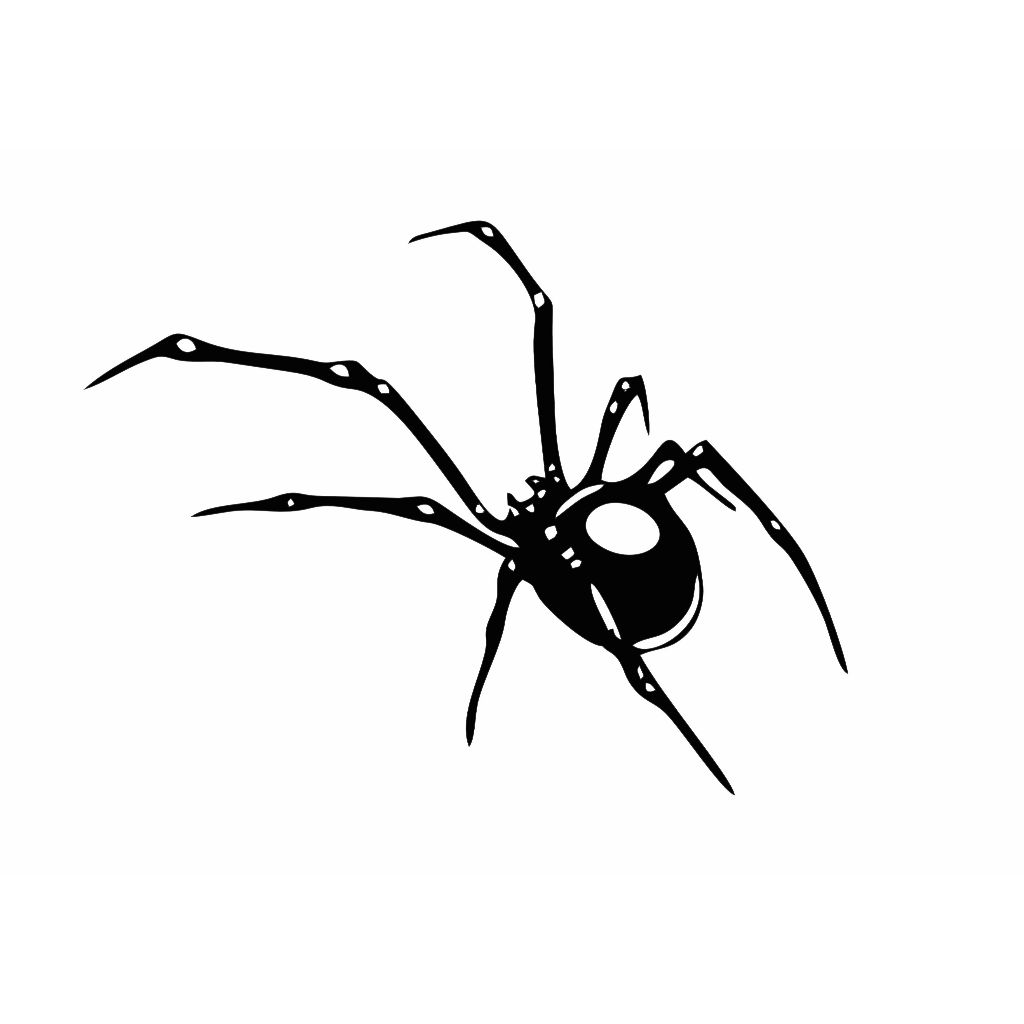 Adesivo de Aranha para Moto  Tanque e Capacete Decorativo