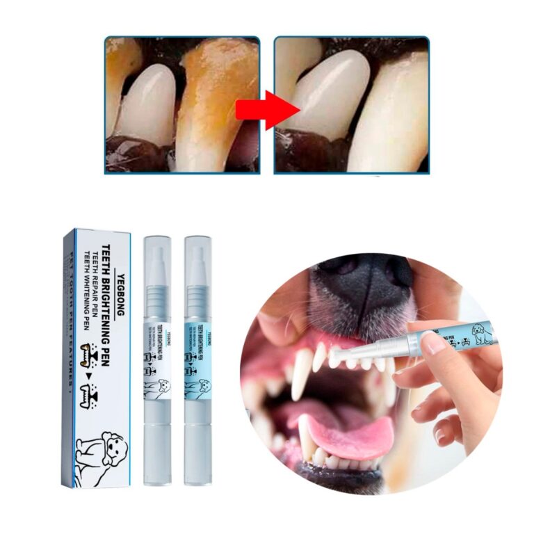 Caneta Clareadora Limpa Dentes Pet Gato Cães Cuid