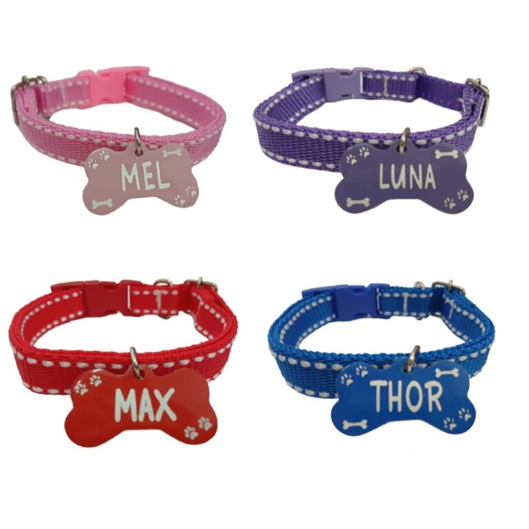 Coleira Para cães e Gatos Com Plaquinha de Identi