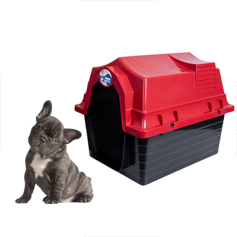 Casinha Pet N3 Para Cachorro De Pequeno Porte Prot