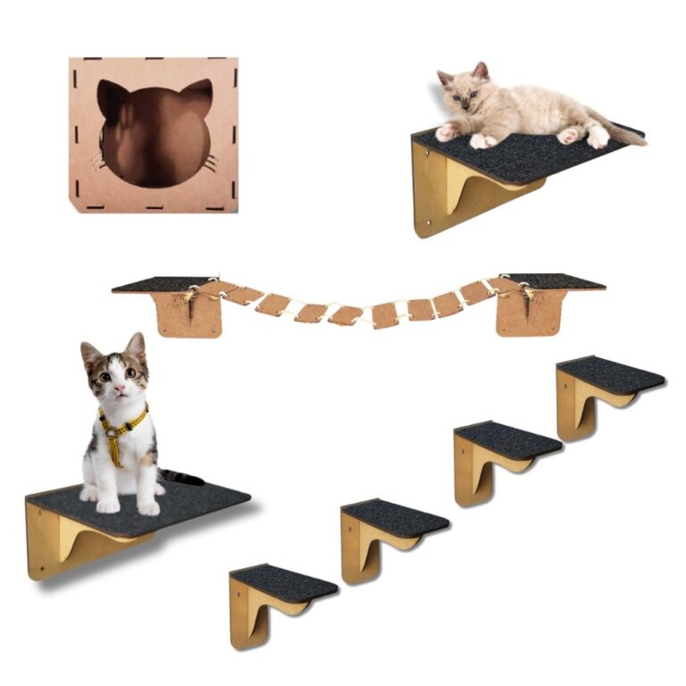 Playground Brinquedo para Gatos 8 peças com antid