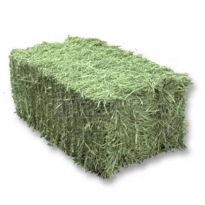 Feno Verdinho P/ Coelho e Porquinho da Índia de E