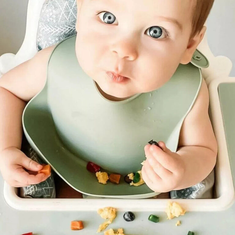 Babador Babete Silicone com Bolso pega Cata Migalh