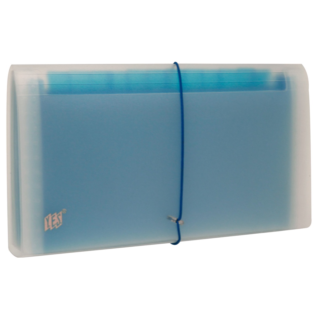 Pasta Sanfonada 12 Divisoes Coloridas – Tamanho: Cheque