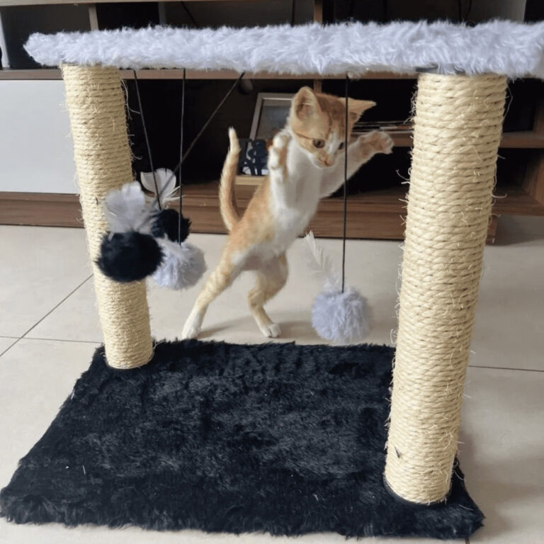 Arranhador Brinquedo Suspenso com Sisal  Gatos Ati