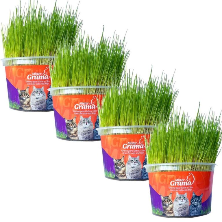 Kit 4 Graminhas Mister Para Gatos Digestão Saúde