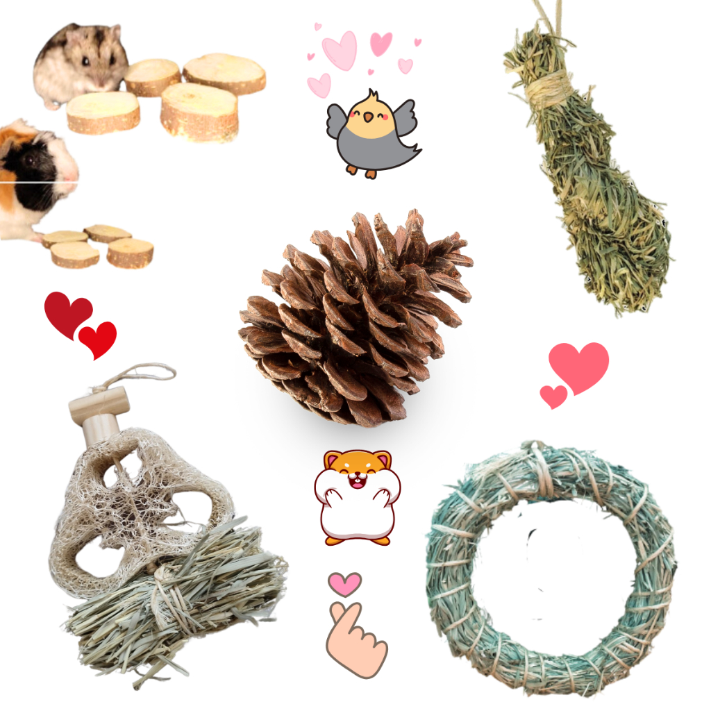 Kit 5 Enriquecimento ambiental para aves e roedores hamster, coelho, calopsitas