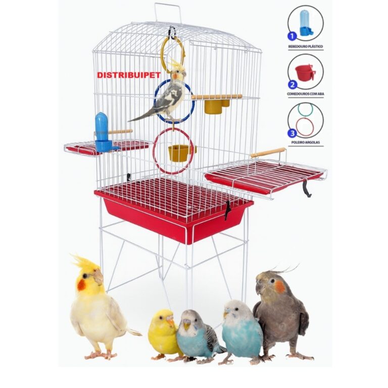 Gaiola Aramada DISTRIBUIPET Calopsita Mansa Teto A