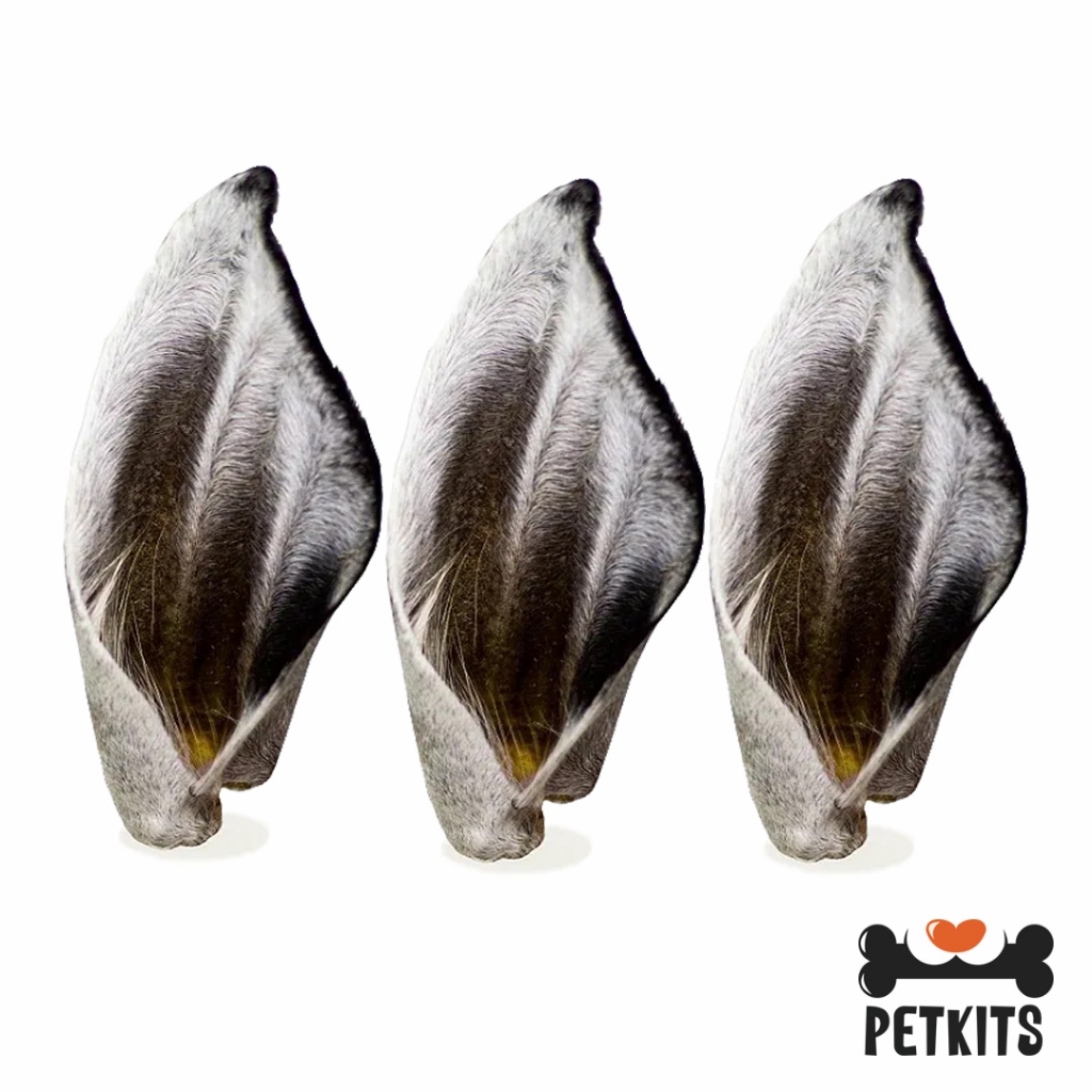 (Orelha Bovina 100% Natural) Desidratada Para Cães LL Pet (Com pelos)