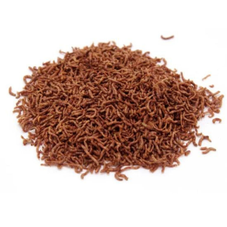 Ração Bloodworm Liofilizada Alimento Natural Par