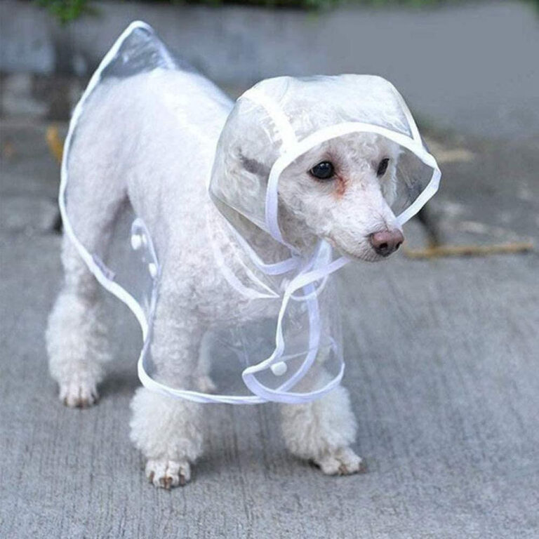 Capa De Chuva Para Cães Transparente Impermeável