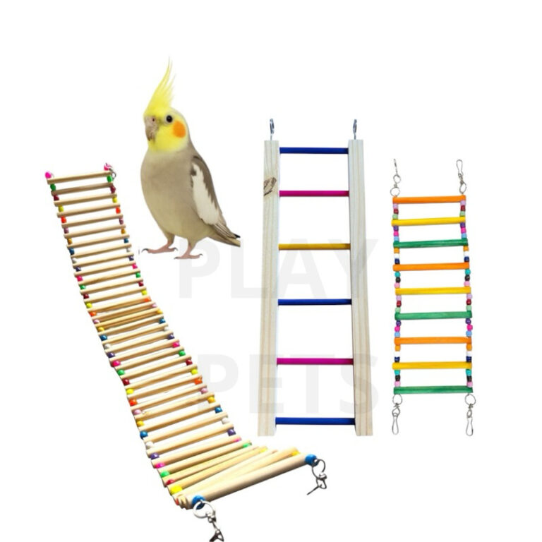 KIT Pontes Escada para Calopsitas, Periquitos e Av
