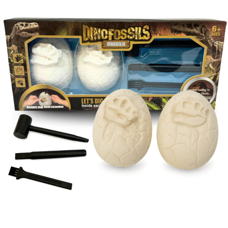 Kit De Escavação Fósseis Dino Fossil Brinquedo 