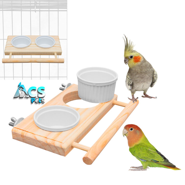 Comedouro Luxo Para Calopsita Periquito e Agaporni
