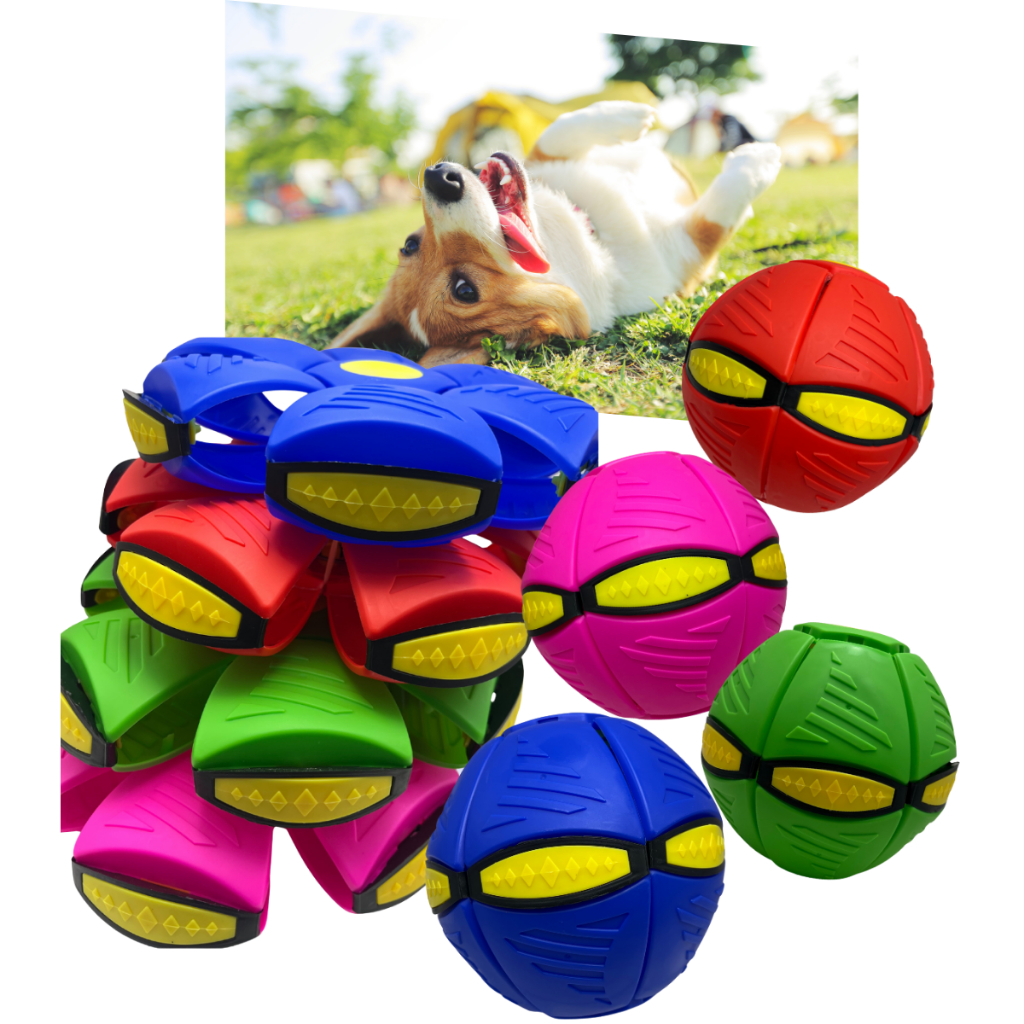 Brinquedo Divertido Interativo Bola Disco Pula Para Pets