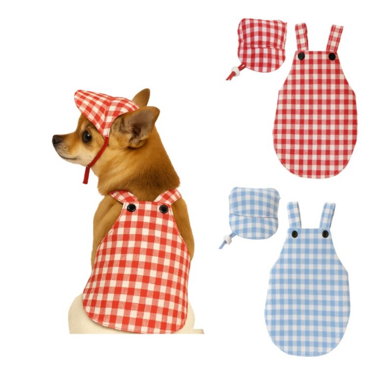 Conjunto pet boné e roupinha kit verão pra cacho
