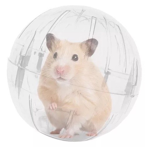 Bola para Hamster Brinquedo Pet Exercício Globo 1