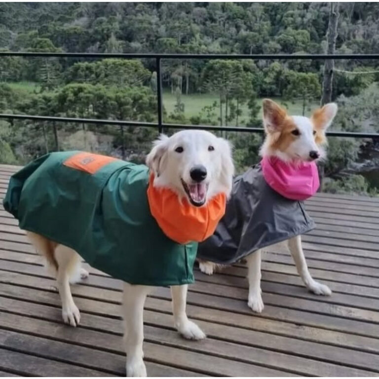 CAPA DE CHUVA DOG