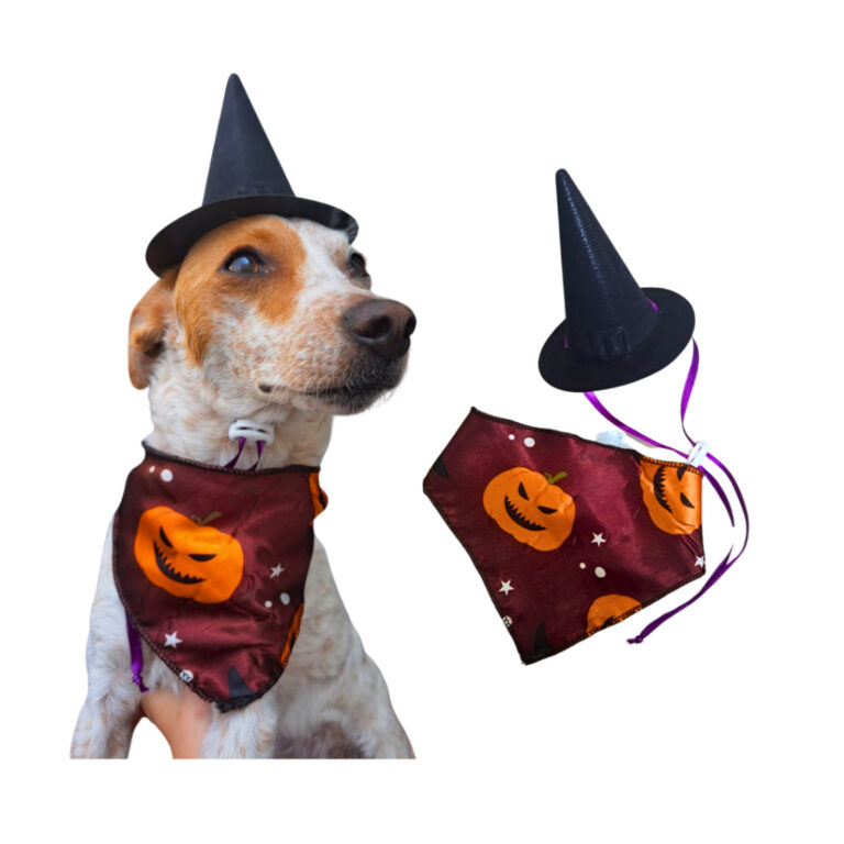 fantasia para pet  halloween chapéuzinho de bruxa