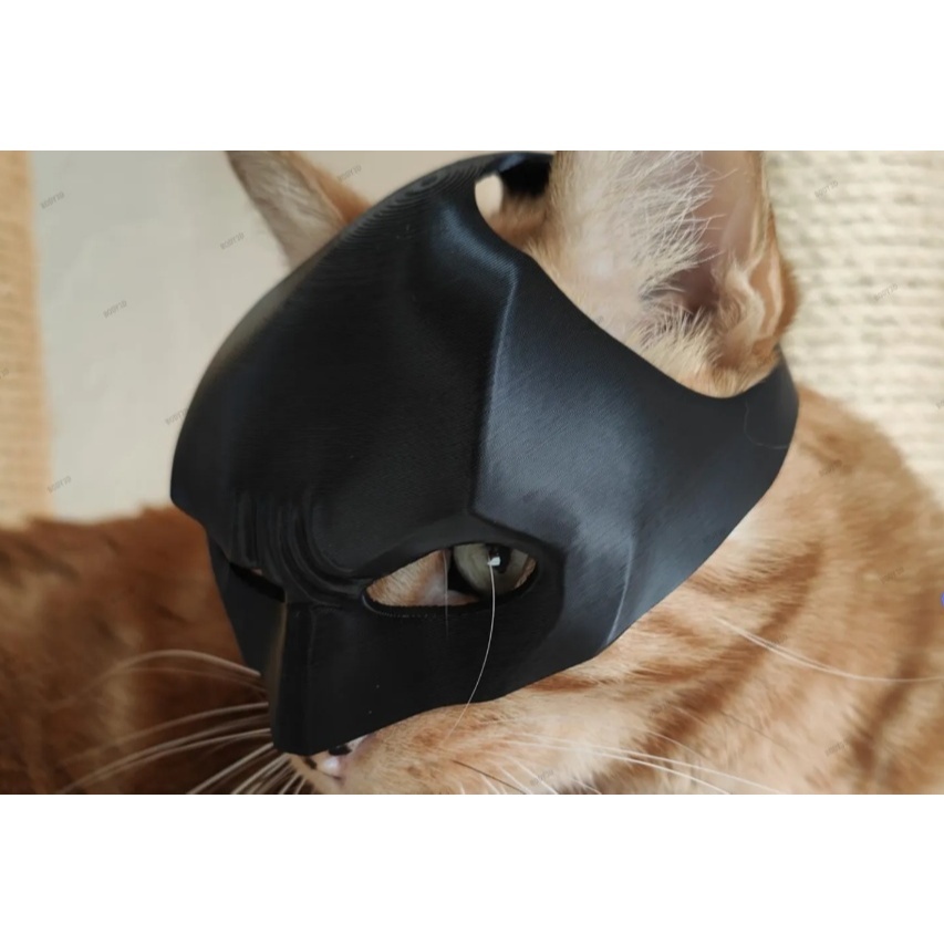 Batgato – Bat-cat Máscara divertida para Animais Cavaleiro das Trevas para Gatos