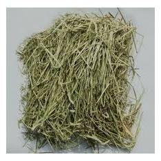 Feno verdinho e Cheiroso Tipo A para Coelho, Porqu