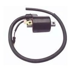 Bobina Igniçao Externa Titan 150 2004 Ate 2008