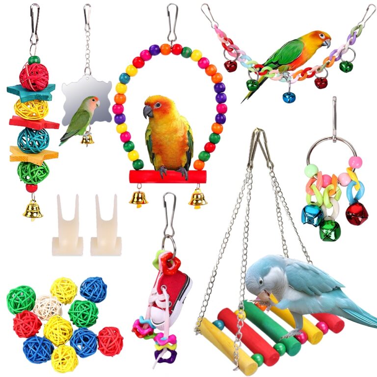 Kit 19 Brinquedos Para Pássaros Calopsitas E Sino