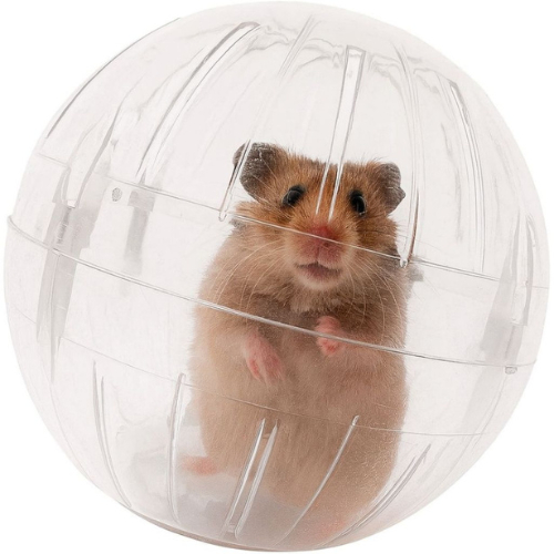 Bola De Hamster Brinquedo Fitness Para Animais De 